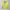 Stussy Y2K Sportswear Jersey Pria yellow photo 1