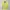 Stussy Y2K Sportswear Jersey Pria Yellow