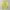 Stussy Y2K Sportswear Jersey Pria yellow photo 2