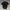 Lacoste Casual Polo Shirt Pria Black