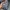 Adidas Y2K Sportswear Fur coat Pria white black photo 1