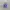 Adidas Casual Sneakers Wanita purple photo 2