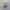 Adidas Casual Sneakers Wanita purple photo 1