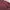 Polo Ralph Lauren Vintage Casual Polo shirt Pria burgundy red photo 4