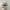 Salomon Sportswear Sneakers Pria gray photo 3