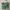 Handbag Wanita green photo 1