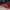 Reebok Sportswear Sneakers Pria red photo 3