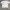 Minimalist T-shirt Pria gray photo 1