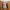 Youths In Balaclava Luxury Biker Denim jacket Pria tan photo 2