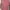 Under Armour Sportswear T-shirt Wanita Pink