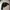 Nike Vintage Y2K Fleece Pria Black