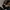 Adidas Y2K Casual Track jacket Pria black photo 4