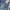 Bobson Vintage Casual Jeans Pria blue photo 5