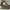 Nike Streetwear Casual Sneakers Pria green photo 4