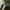 Uniform Bridge Vintage Streetwear Casual pants Pria tan photo 7