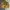Streetwear Casual Bomber jacket Pria gold photo 1