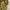 Streetwear Casual Bomber jacket Pria gold photo 4