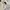 ZARA Streetwear Casual Puffer jacket Wanita multicolor photo 3