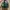 Charles and Keith Minimalist Casual Handbag Wanita green photo 2