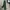 Y2K Minimalist Jeans Pria multicolor green photo 7