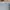 Burberry Luxury Polo shirt Pria white blue photo 3
