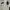 The North Face Track jacket Pria white black photo 3