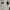 The North Face Track Jacket Pria White Black