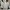The North Face Track Jacket Pria White Black