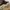 Japanese brand Vintage Pria tan photo 6