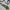 Japanese brand Vintage Pria tan photo 4