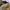 Japanese brand Vintage Pria tan photo 7