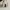 Coach Vintage Y2K Shoulder bag Wanita white brown photo 5
