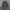 JNCO Vintage Y2K Jeans Pria gray photo 5