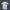 Chunici Dragons Baseball Jersey / Mizuno Baseball photo 1