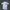 Chunici Dragons Baseball Jersey / Mizuno Baseball
