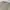 Polo Ralph Lauren Streetwear Luxury Sweatshirt Pria tan photo 3