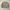 Polo Ralph Lauren Streetwear Luxury Sweatshirt Pria tan photo 1