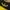 Puma Sportswear Jersey Pria black yellow photo 5