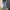 Acne Studios Avant Garde Indie Jeans Pria blue photo 1