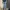 Acne Studios Avant Garde Indie Jeans Pria Blue