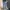 Acne Studios Avant Garde Indie Jeans Pria blue photo 2