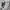 Nike Streetwear Casual Hoody Pria gray photo 4