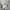 Streetwear Y2K Hoody Pria gray photo 4