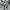 Streetwear Sportswear Hoody Pria gray photo 5