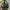Charles and Keith Luxury Casual Tote bag Wanita green photo 1