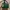 Charles And Keith Luxury Casual Tote Bag Wanita Green