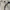 Montbell Biker Sportswear Tracksuit Pria silver gray photo 4