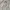 Montbell Biker Sportswear Tracksuit Pria silver gray photo 2