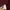 Abercrombie & Fitch Luxury Casual Polo shirt Pria burgundy photo 4