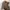 Casual Fur coat Pria tan photo 1